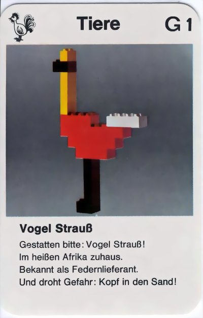 g1.jpg