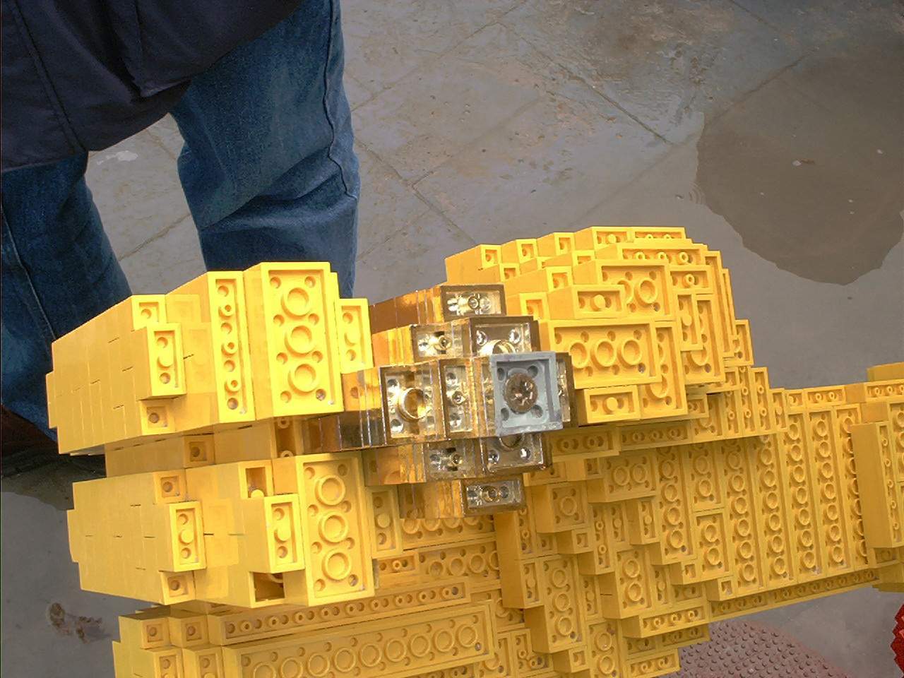 t-ac_06.jpg