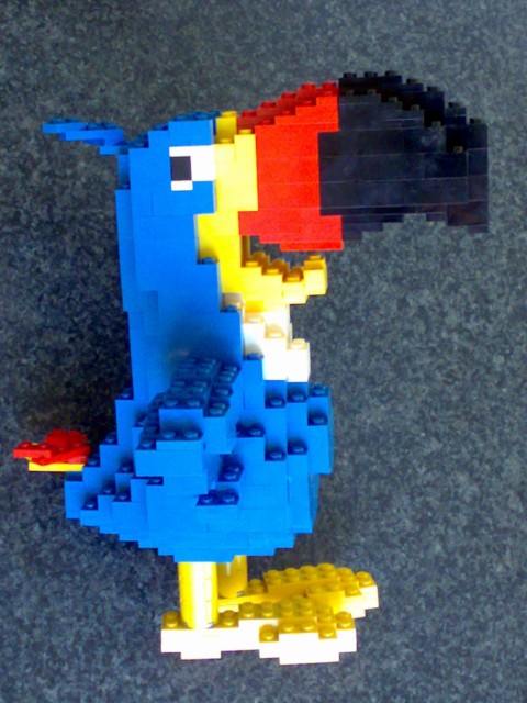 toucan_03.jpg