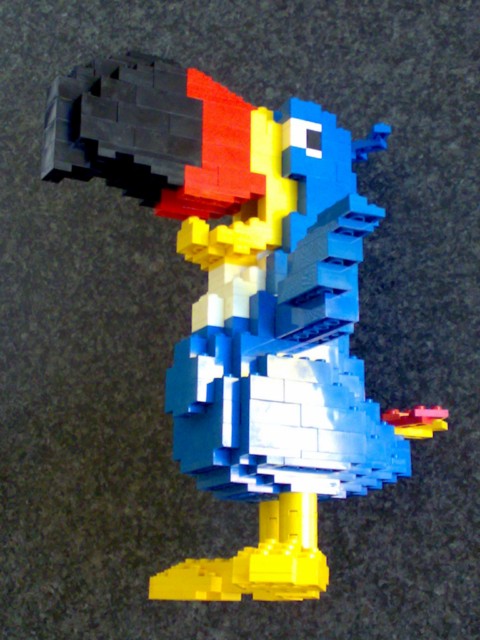 toucan_04.jpg