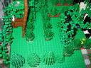 garden2.jpg