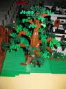 tree.jpg