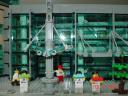 dsc02756.jpg