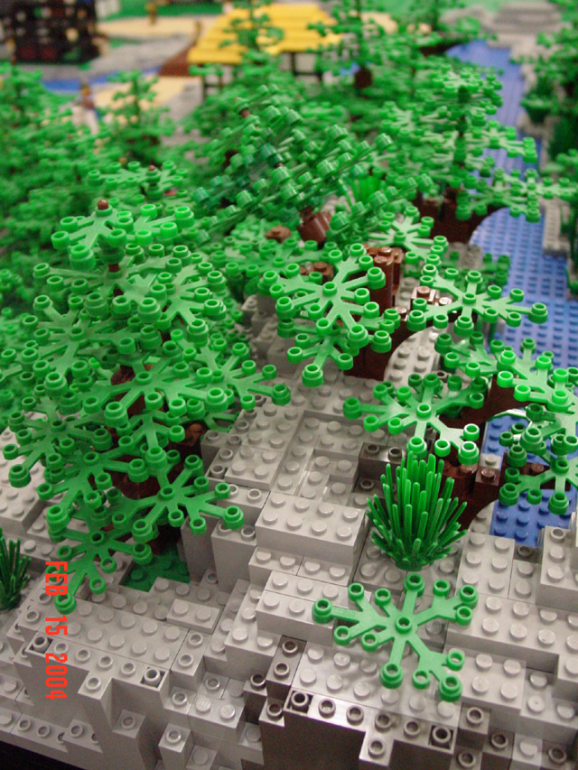 dsc03281.jpg