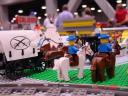 dsc01484.jpg