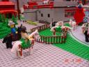 dsc01510.jpg