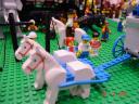 dsc01615.jpg