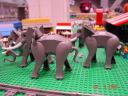 dsc01623.jpg