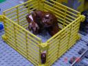 dsc01638.jpg