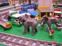 dsc01649.jpg