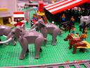 dsc01650.jpg
