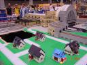 dsc01701.jpg