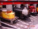 dsc01715.jpg