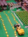 dsc01989.jpg