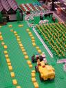 dsc01990.jpg