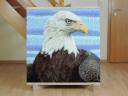 eagle_1.jpg