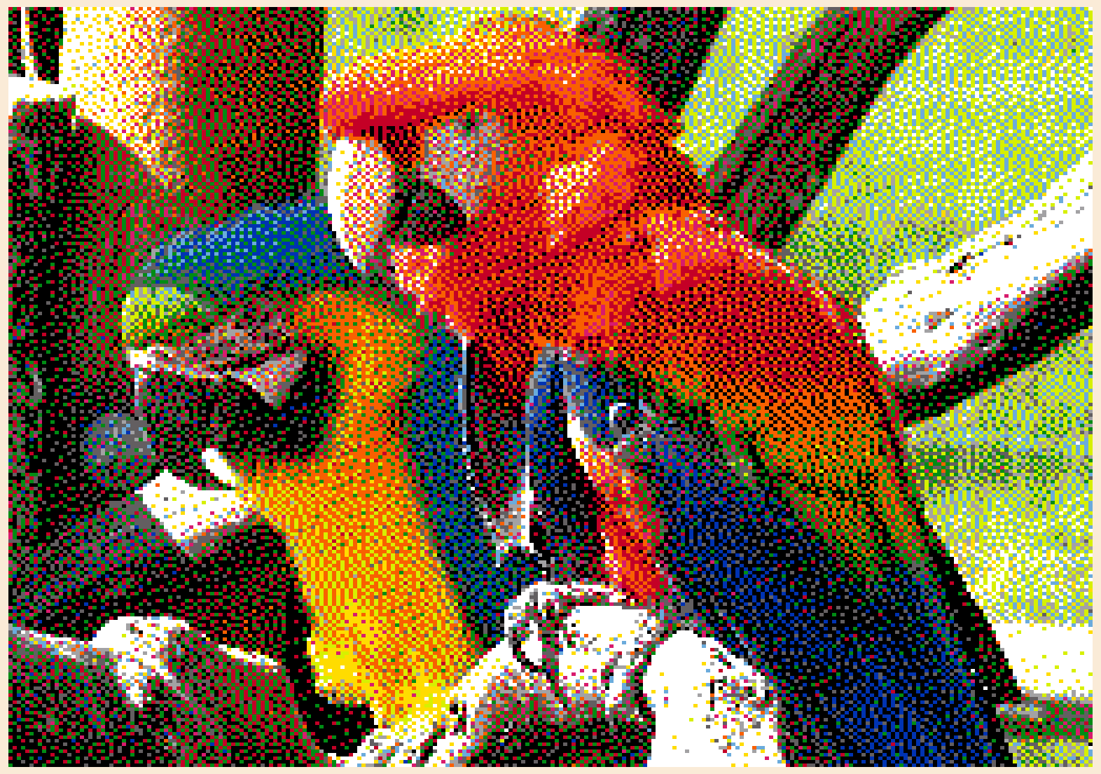 parrots_00.png