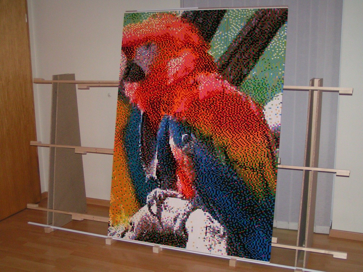 parrots_04.jpg