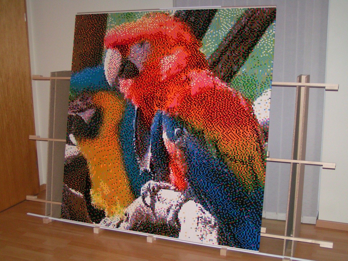 parrots_05.jpg