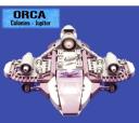 Orca