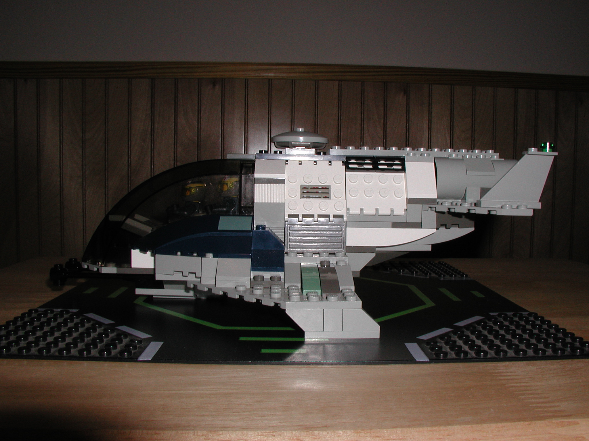 raptor3.jpg