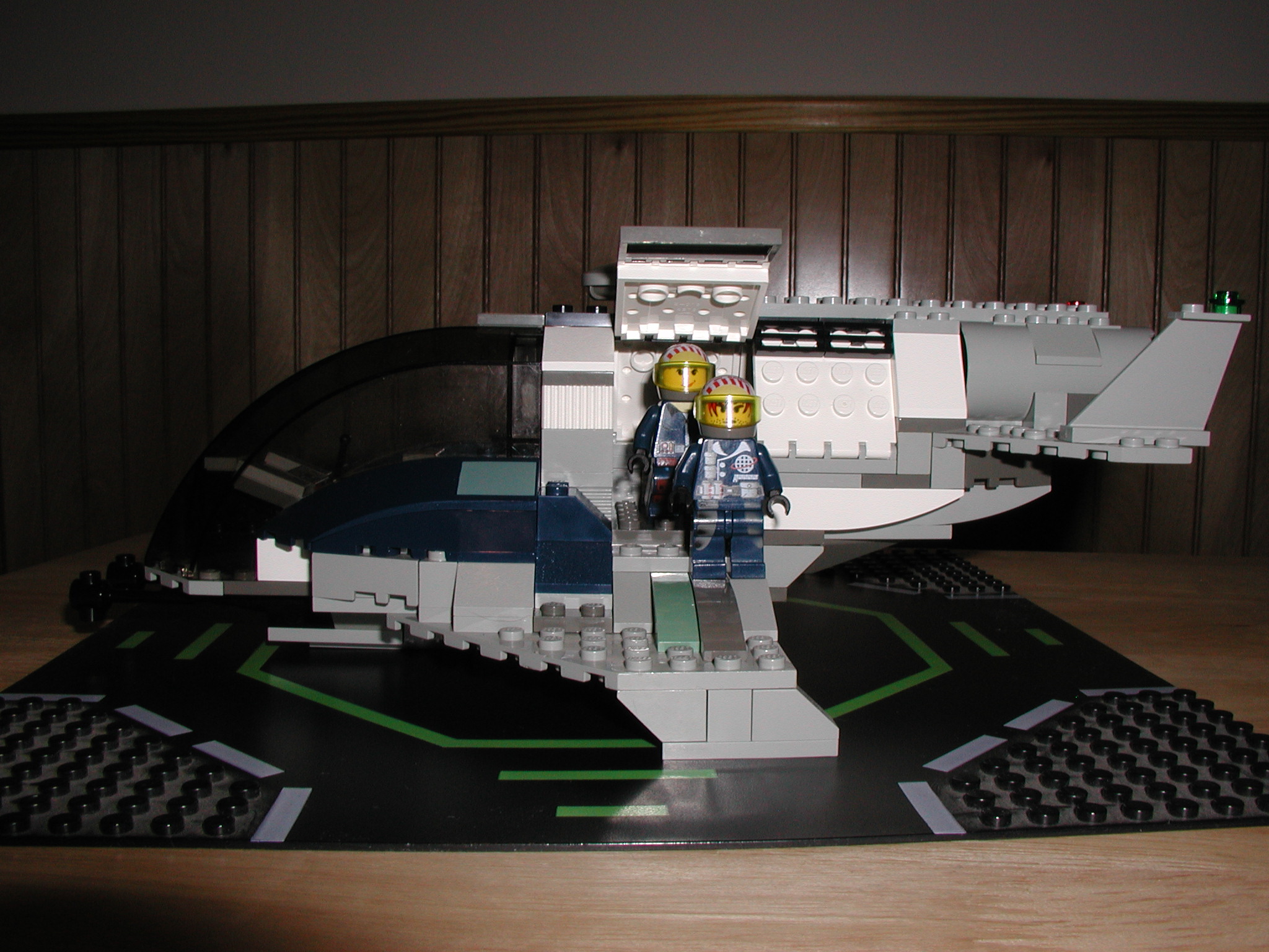 raptor9.jpg