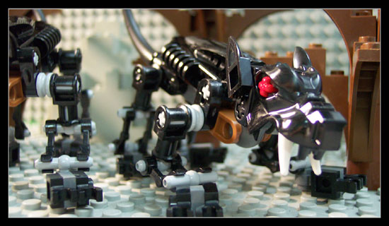 1609-z005.jpg