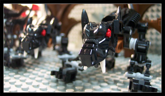 1609-z006.jpg