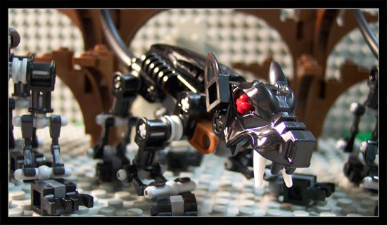 1609-z008.jpg