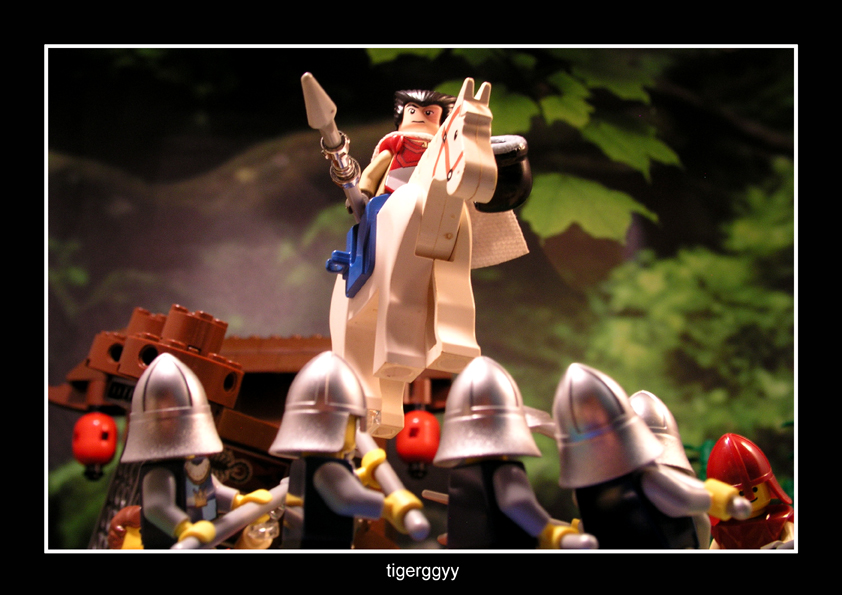 3w9893.jpg