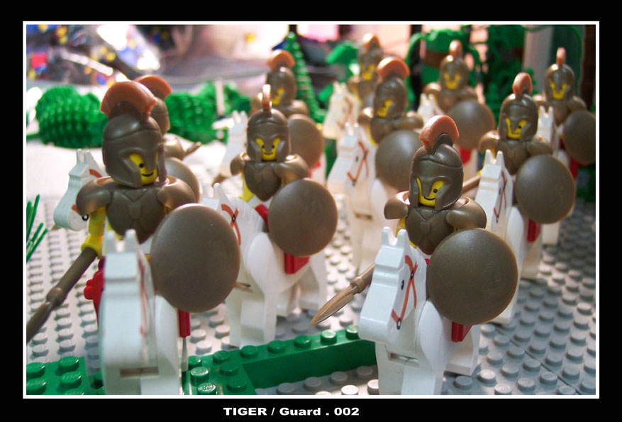 guard_002.jpg
