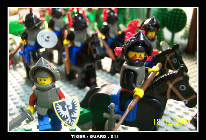 guard_011.jpg