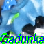 gadunkaavi.png