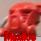 maxilosavi.png