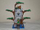 forest4.jpg