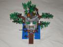 forest5.jpg