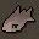 fish.jpg