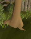 floatingtree.bmp