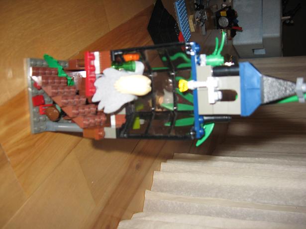 picture_473.jpg