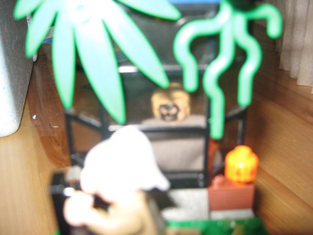 picture_475.jpg