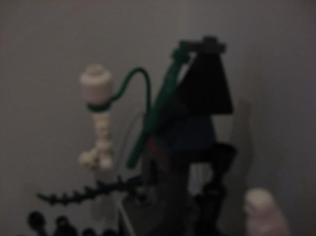 picture_483.jpg