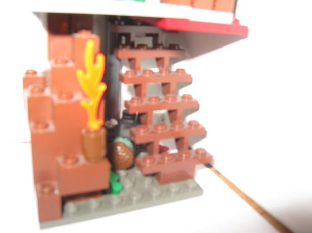 picture_485.jpg