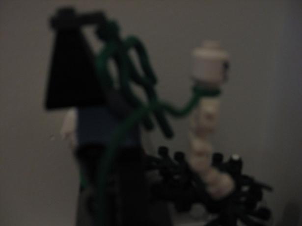 picture_491.jpg
