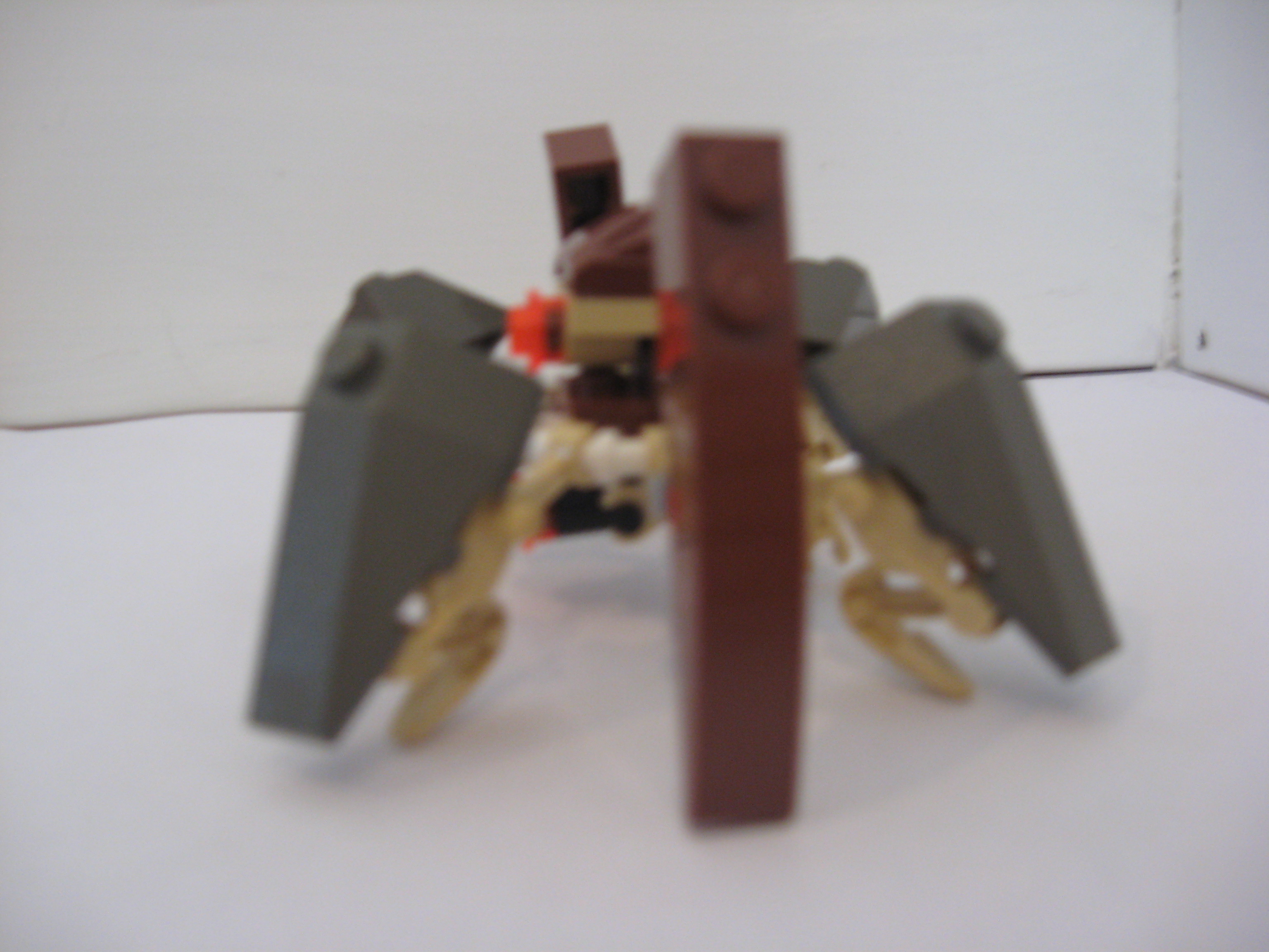 picture_459.jpg