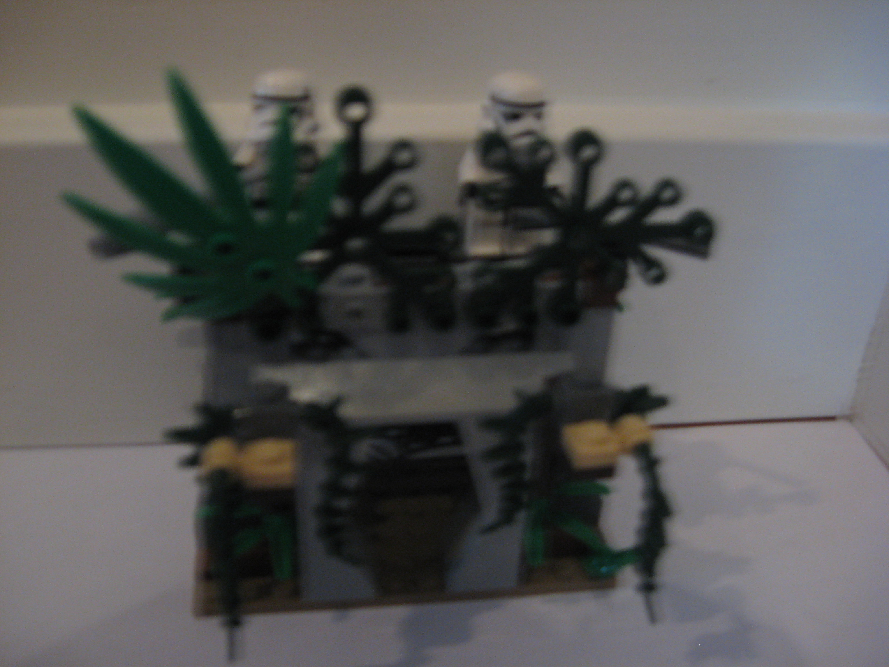 picture_448.jpg