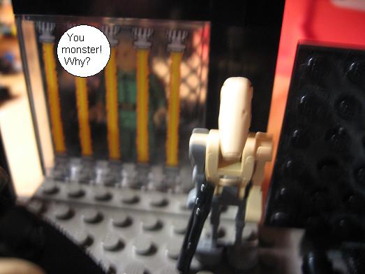 picture_828.jpg