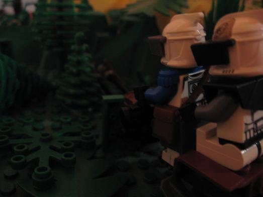 picture_861.jpg