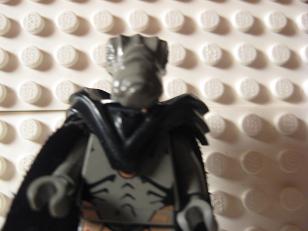 picture_797.jpg