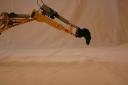 backhoe007.jpg