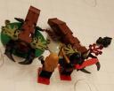 deadfall-beetles1.jpg